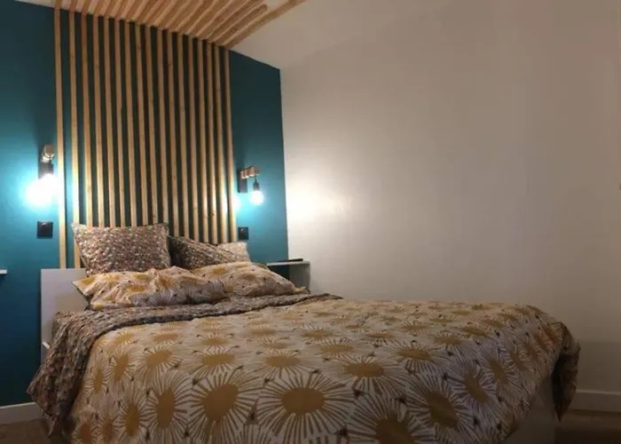 ***L\'Oree Des Pins*** Appartement T2 En Rdc Avec Jardin Refait A Neuf