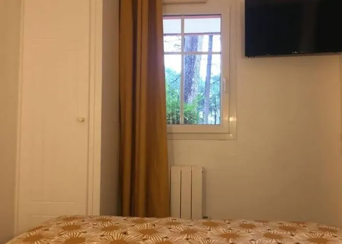 ***L\'Oree Des Pins*** Appartement T2 En Rdc Avec Jardin Refait A Neuf