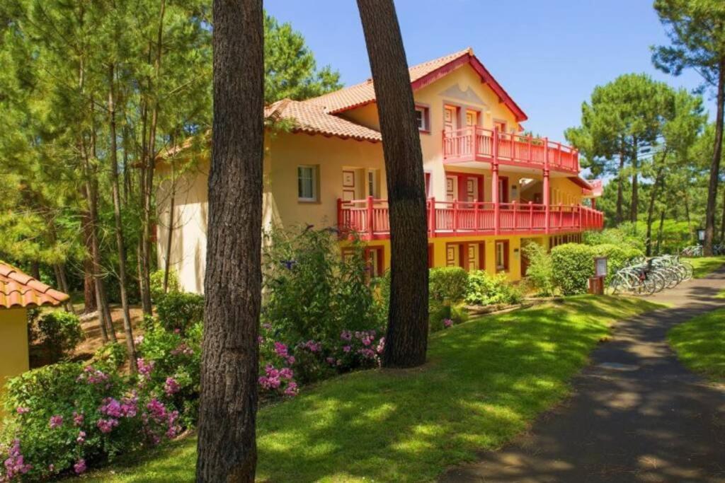 ***l'oree Des Pins*** T2 En Rdc Avec Jardin Refait A Neuf Apartment