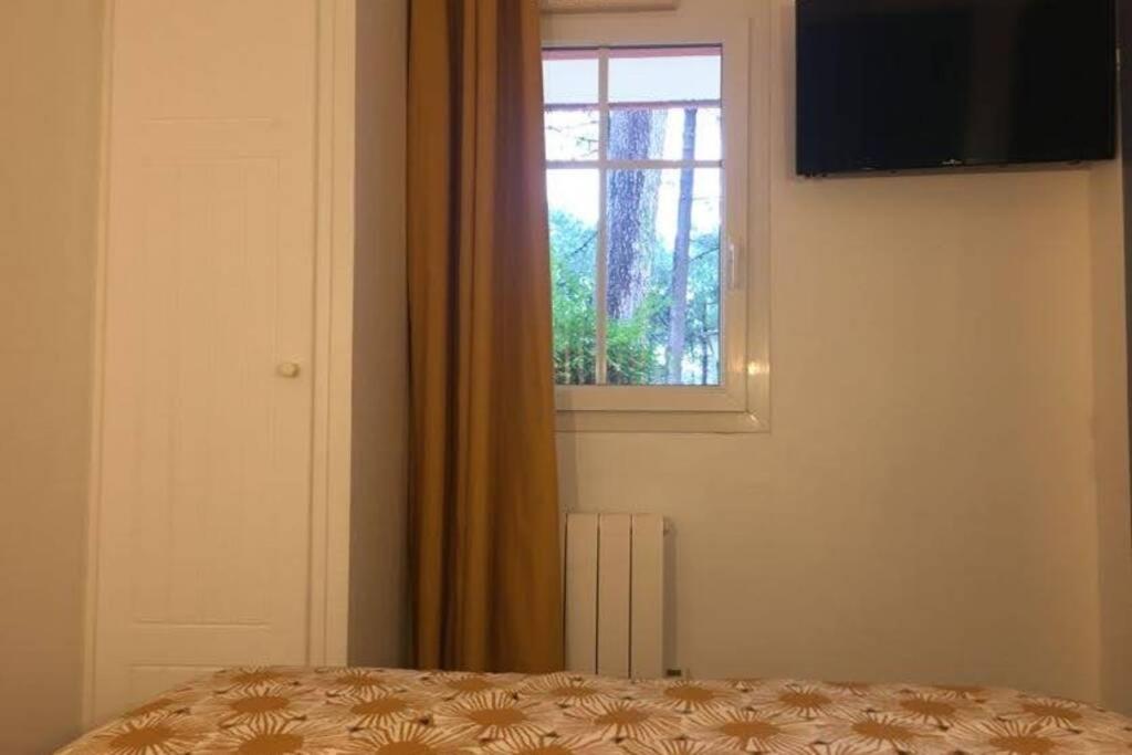 Apartment ***l'oree Des Pins*** T2 En Rdc Avec Jardin Refait A Neuf